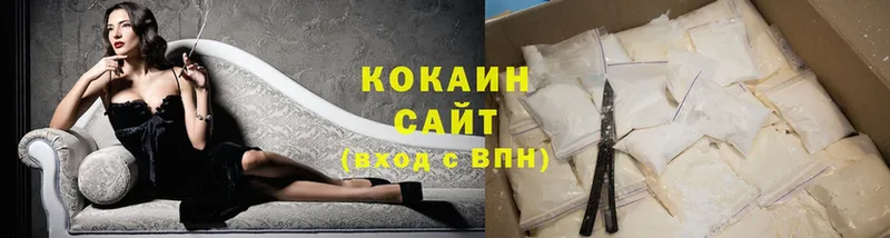 Cocaine Fish Scale  hydra ссылки  Гусиноозёрск  продажа наркотиков 