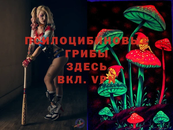 гашик Гусиноозёрск