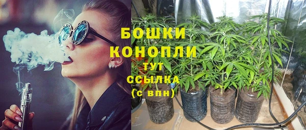 гашик Гусиноозёрск