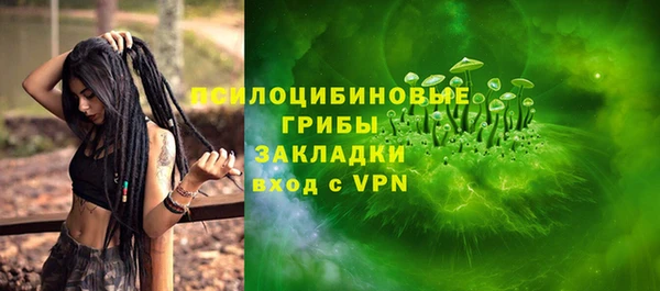 mdpv Гусев