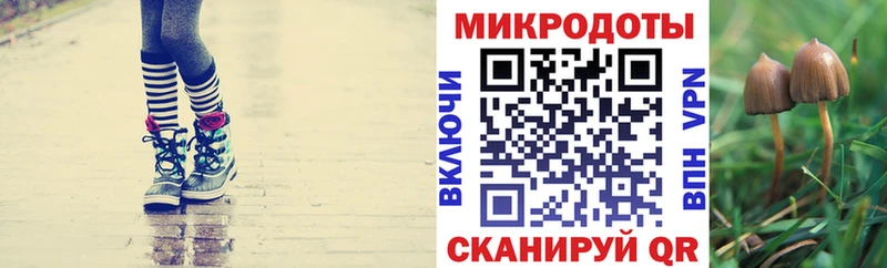 наркотики  маркетплейс какой сайт  Галлюциногенные грибы Cubensis  Гусиноозёрск 